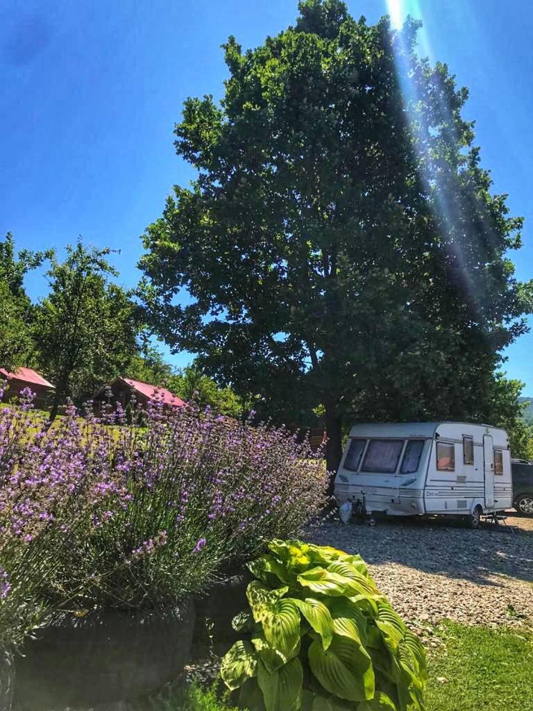 La 3 Stejari, Calimanesti Hotel Salatrucel Kültér fotó