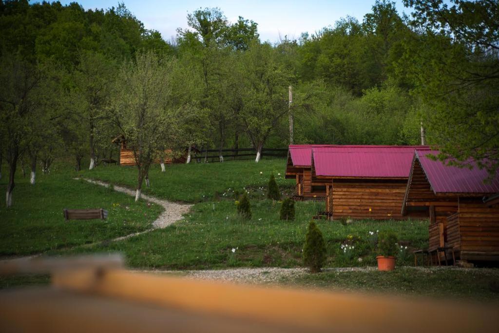 La 3 Stejari, Calimanesti Hotel Salatrucel Kültér fotó